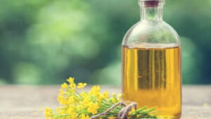 Canola Oil